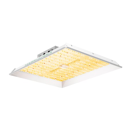 Mars Hydro TS1000 150W