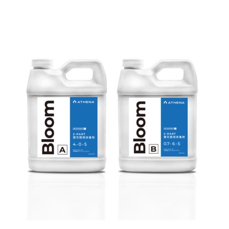 ATHENA Bloom A/B 946ml
