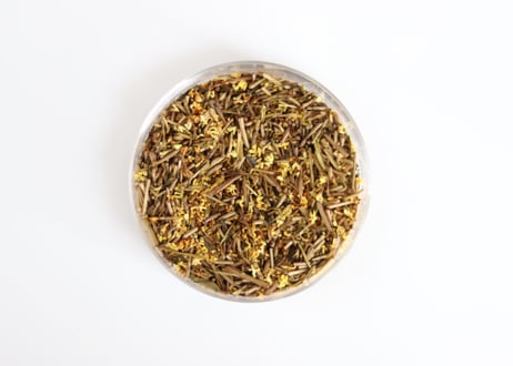金木犀ほうじ茶｜浅煎りほうじ茶の甘みと懐かしい香り