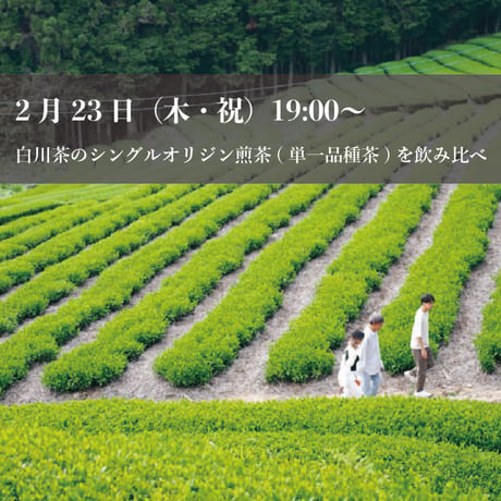 【2月23日(金・祝)19:00〜開催】美濃加茂茶舗のオンラインワークショップ『白川茶のシングルオリジン煎茶(単一品種茶)を飲み比べ』