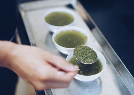 煎茶 一番茶｜0〜100℃どの温度でも淹れられるお茶