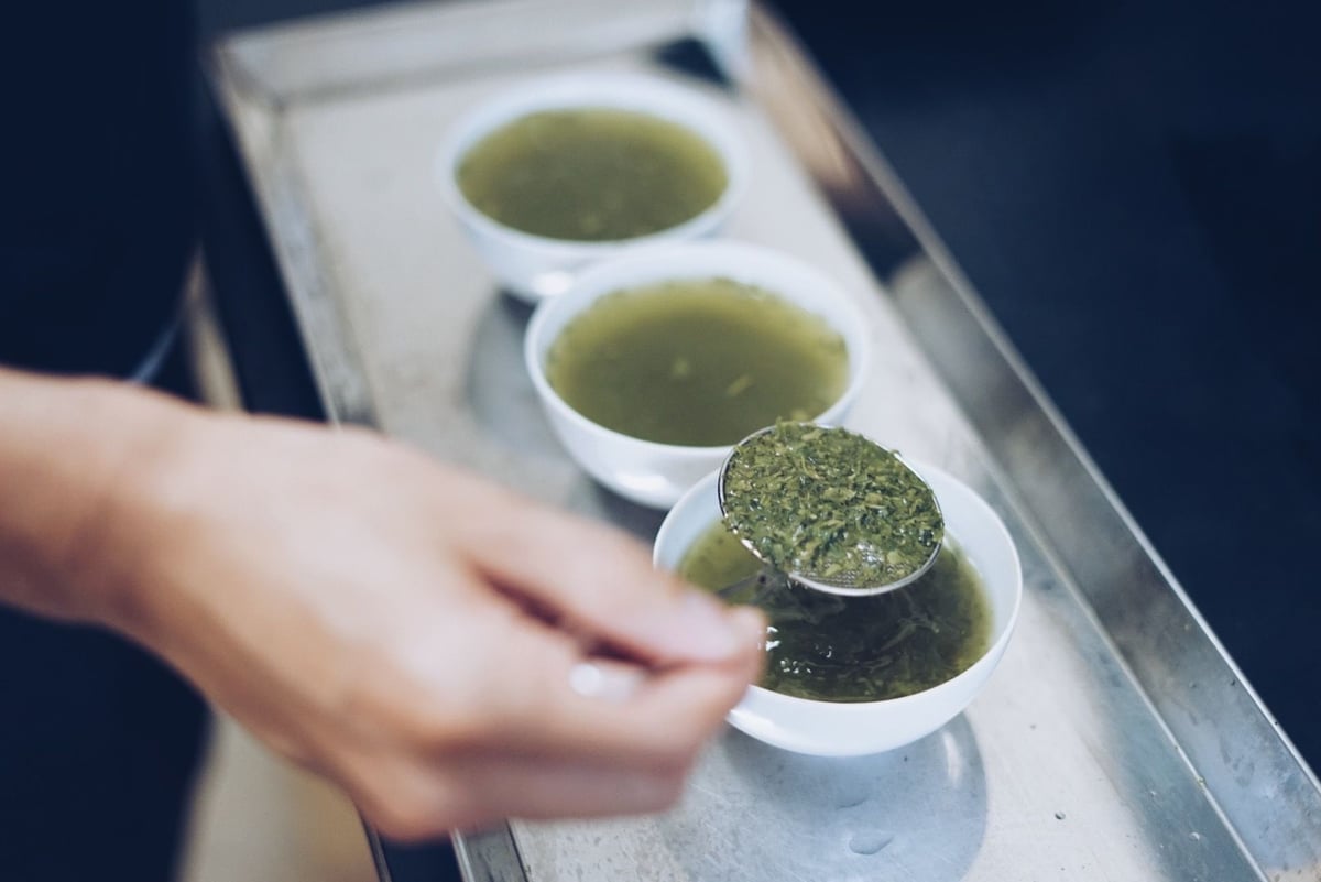 煎茶 一番茶｜0〜100℃どの温度でも淹れられるお茶 | 美濃加茂