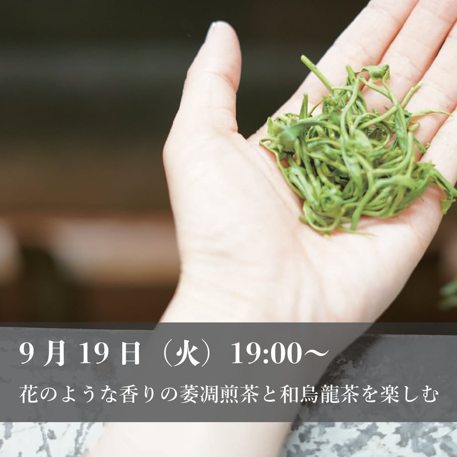 64f362f1ad5ace002d387794