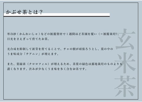 【特別価格】日本茶はじめてセット「お試し5種セット」＋「miyama. 宝瓶」