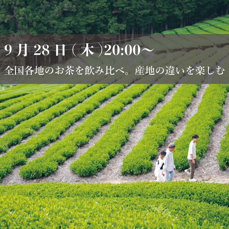 6506a53bbf1bd00f83cea2c0