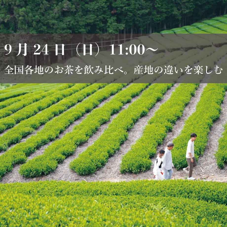 64f367e6444dc8002bb33169