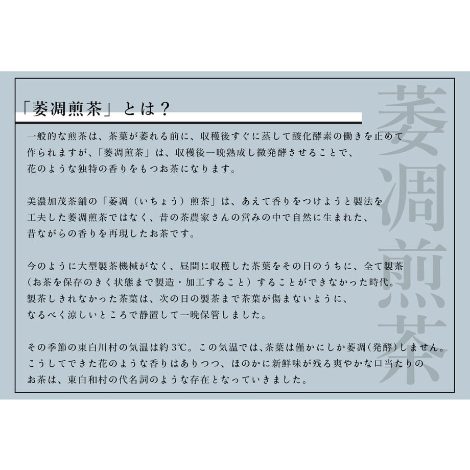 63e211d17c42ee782407749b