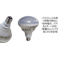 LEDレフ球 (型番：PAR48)