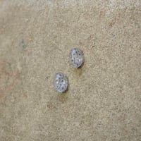 ピアス　浮布〔clear cloth 〕/  楕円 亀甲　白