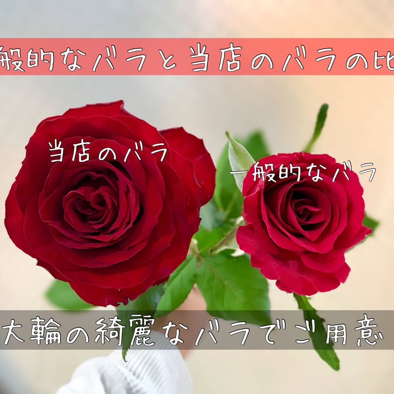 Rose Bouquet 21本 ～あなただけに尽くします～ | 花屋 ゆず花