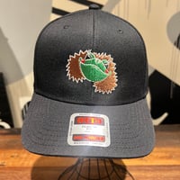 「ヒロカエル」CAP
