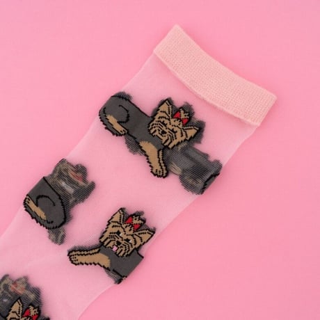CoucouSuzette/ヨークシャーテリアシアーソックス【送料無料】【再入荷】