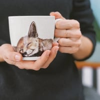 ニコリン/キツネ・マグカップ「4月16日販売開始」