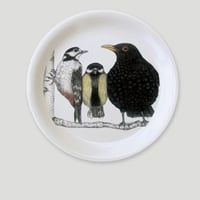 ニコリン/鳥・ミニトレイ「4月16日販売開始」