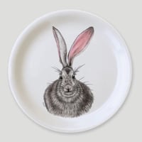 ニコリン/ウサギ・ミニトレイ「4月16日販売開始」