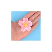 CoucouSuzette/サクラクロー【送料無料】【再入荷】「3月25日再入荷予定」