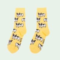 【再入荷】CoucouSuzette/フレンチブルソックス/【送料無料】