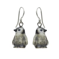 【再入荷】AndMary/動物ペンギン小ピアス『３０代女性』