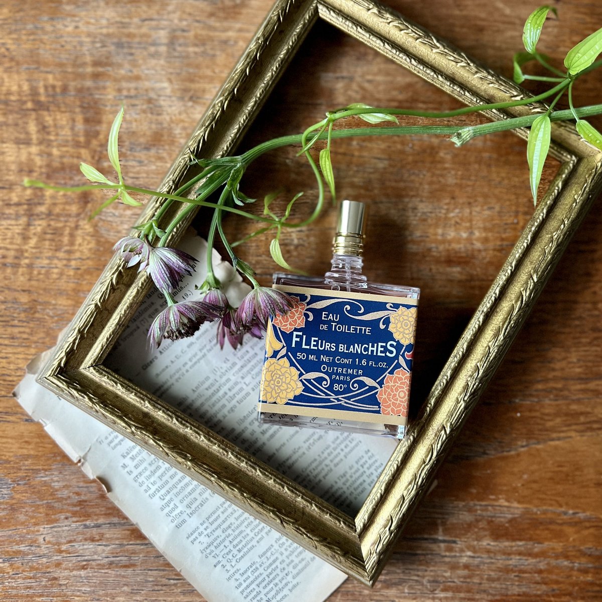 Réplique オードトワレ フランス製 Réplique オードトワレ フランス製 Réplique オードトワレ フランス製