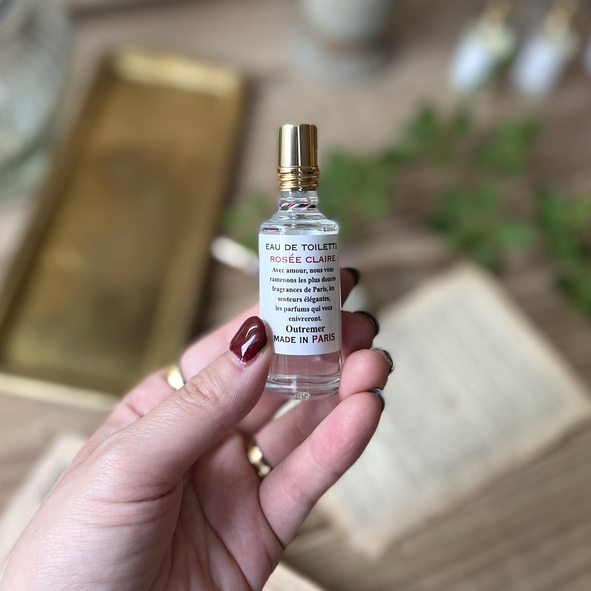 オードトワレEC5083　MADE　IN　フランス オードトワレEC5083 MADE IN フランス オードトワレ 《アガール