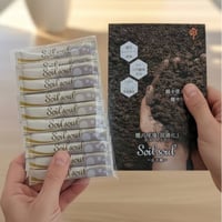 【初回限定3980円！】ソイルソウル 15日分お試しセット