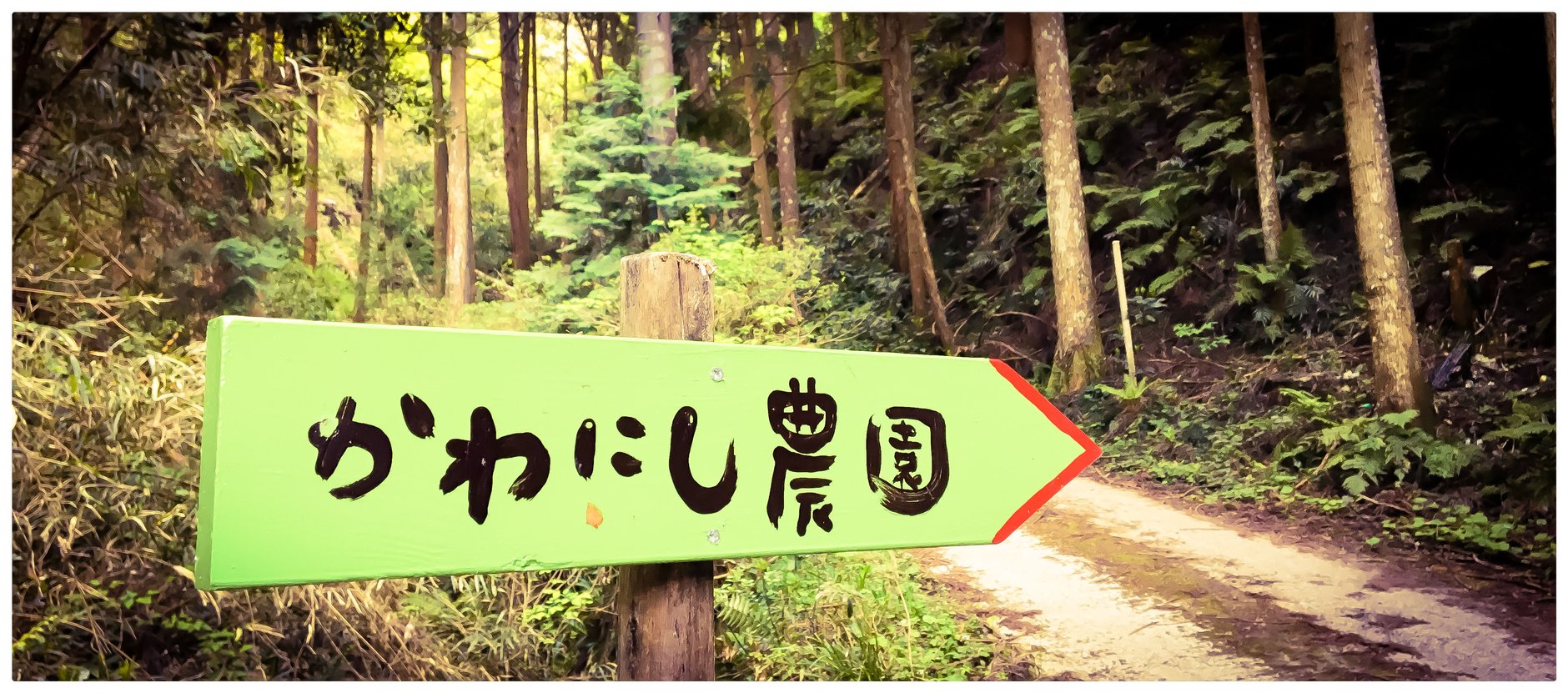 かわにし農園