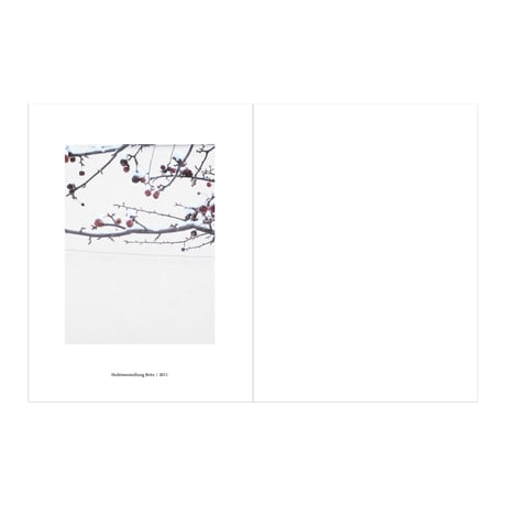 【予約受付中】飯沼珠実写真集 『Salut, Mr Bruno Taut』(建築の建築 + Lubok Verlag 共同出版)
