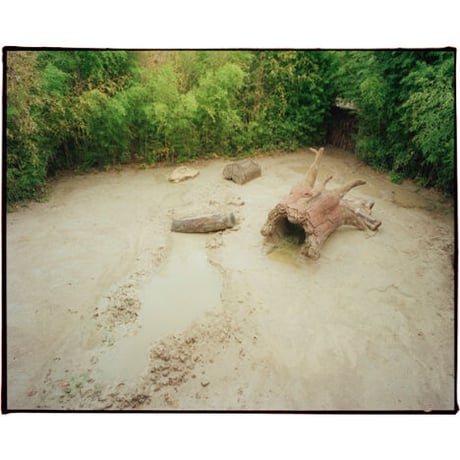 Mitsuhiro Kamimura: Photographing the Absence
