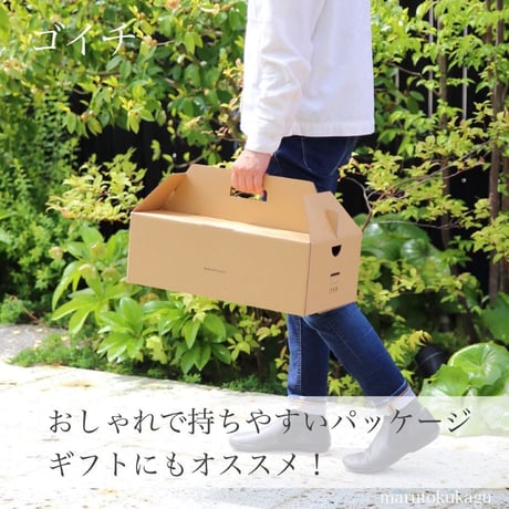 低座椅子 ゴイチ