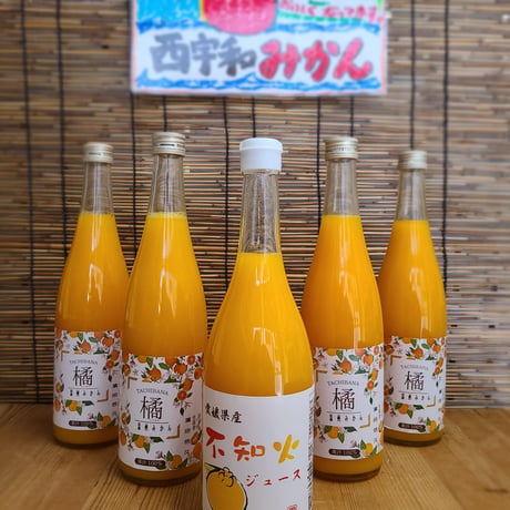 愛媛県産 はまださんちの みかん果汁100％ ストレートジュース