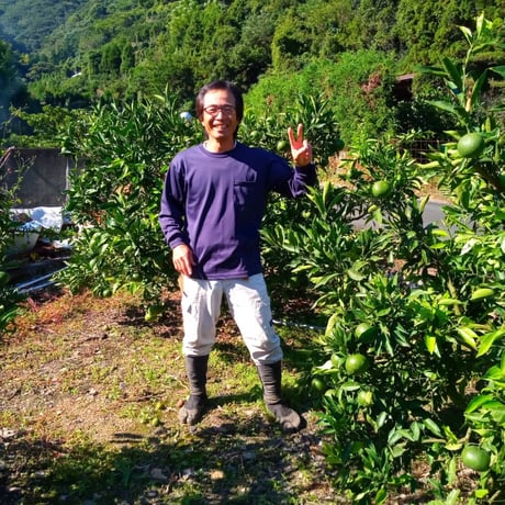 愛媛県産 はまださんちの みかん果汁100％ ストレートジュース  MIX6本セット  A