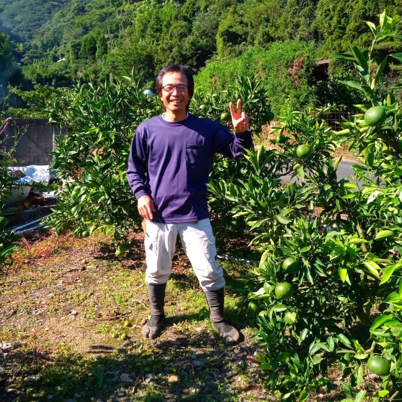 愛媛県産 はまださんちの みかん果汁100% ストレートジュース 愛媛県産 はまださんちの みかん果汁100% ストレートジュース