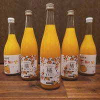 愛媛県産 はまださんちの みかん果汁100％ ストレートジュース  MIX6本セット  B