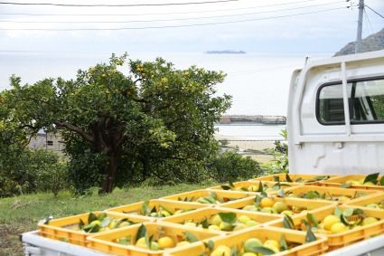 ３本セット　Herbal Switch Mist ON&OFF 3本セット Herbal Switch Mist ON&OFF