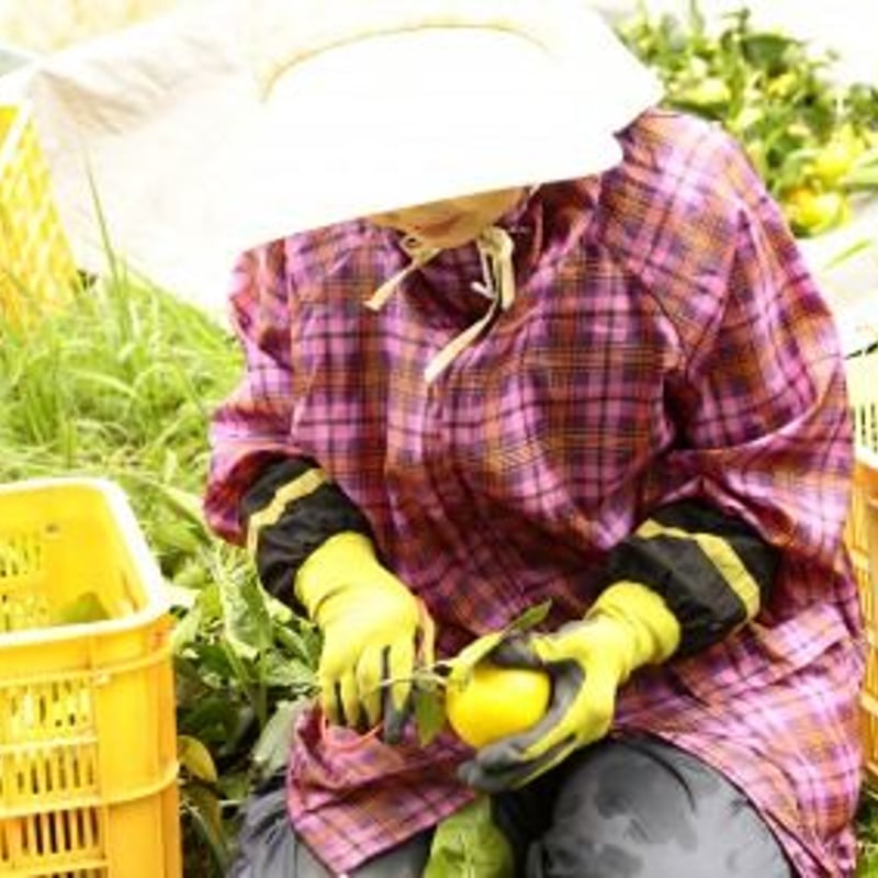 ３本セット　Herbal Switch Mist ON&OFF 3本セット Herbal Switch Mist ON&OFF