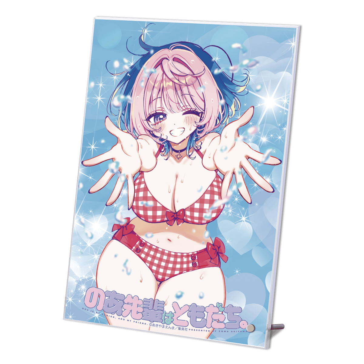 のあ先輩はともだち　グッズまとめ のあ先輩はともだち グッズまとめ のあ先輩はともだち。｜7巻特典