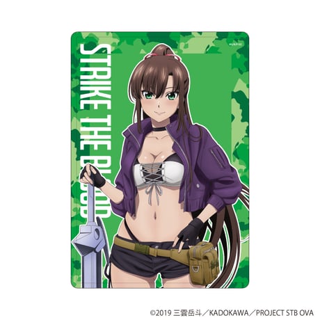 CATEGORY ストライク・ザ・ブラッド | SHIBUYA TSUTAYA ONLINE