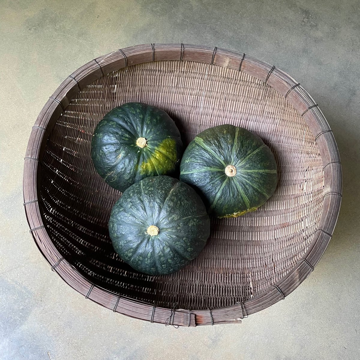 新鮮 空芯菜 5キロ+つるむらさき 5キロ+かぼちゃ葉っぱ4キロ 2分半で見る】空芯菜・ツルムラサキの早朝収穫の様子と袋詰め