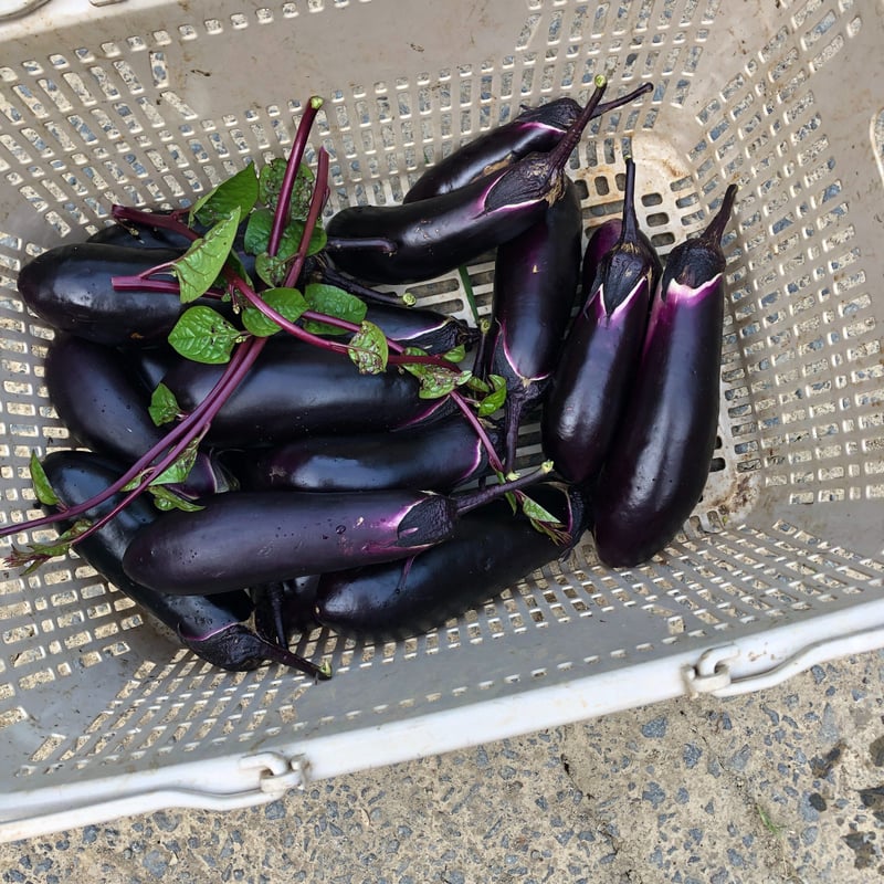 野菜とシロップおかわりセット | 桐島畑