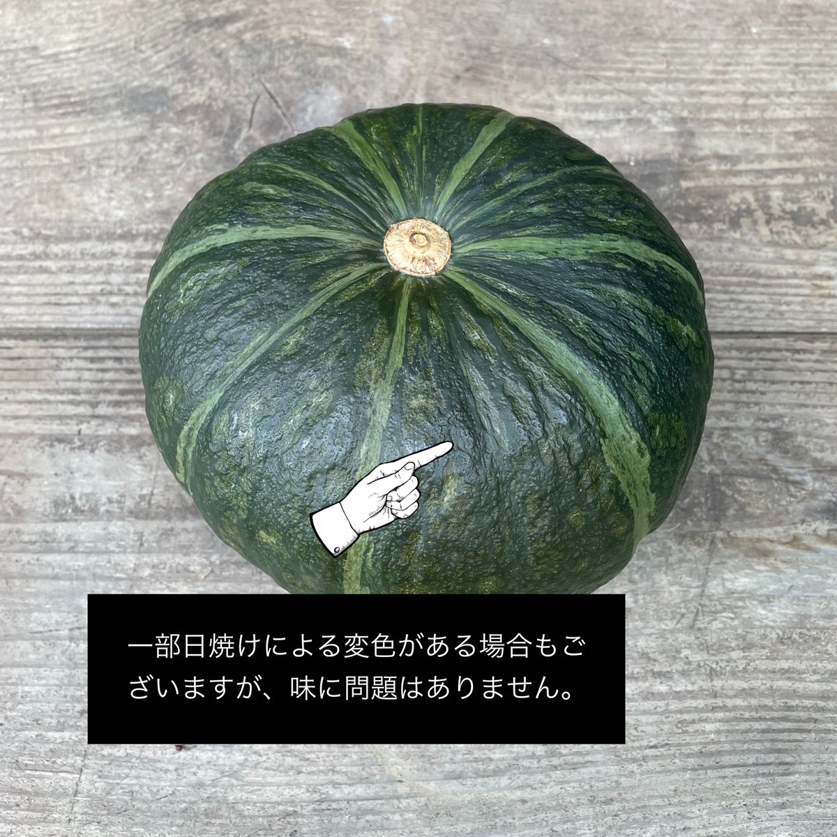 万次郎かぼちゃ　１８kg　６〜１１個　2 万次郎かぼちゃ 18kg 6〜11個 2 万次郎かぼちゃ 18kg 6〜11個 2