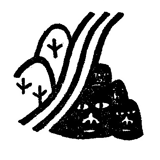 桐島畑