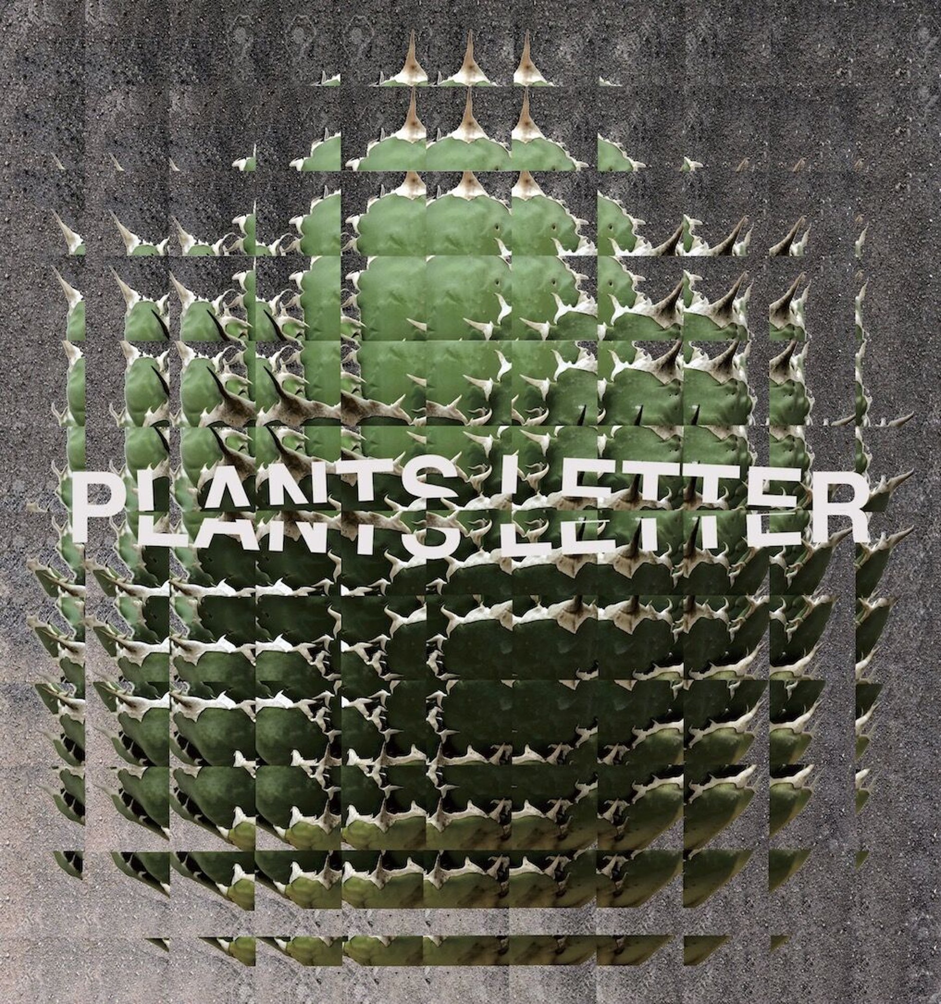 plants_letter plants_letter