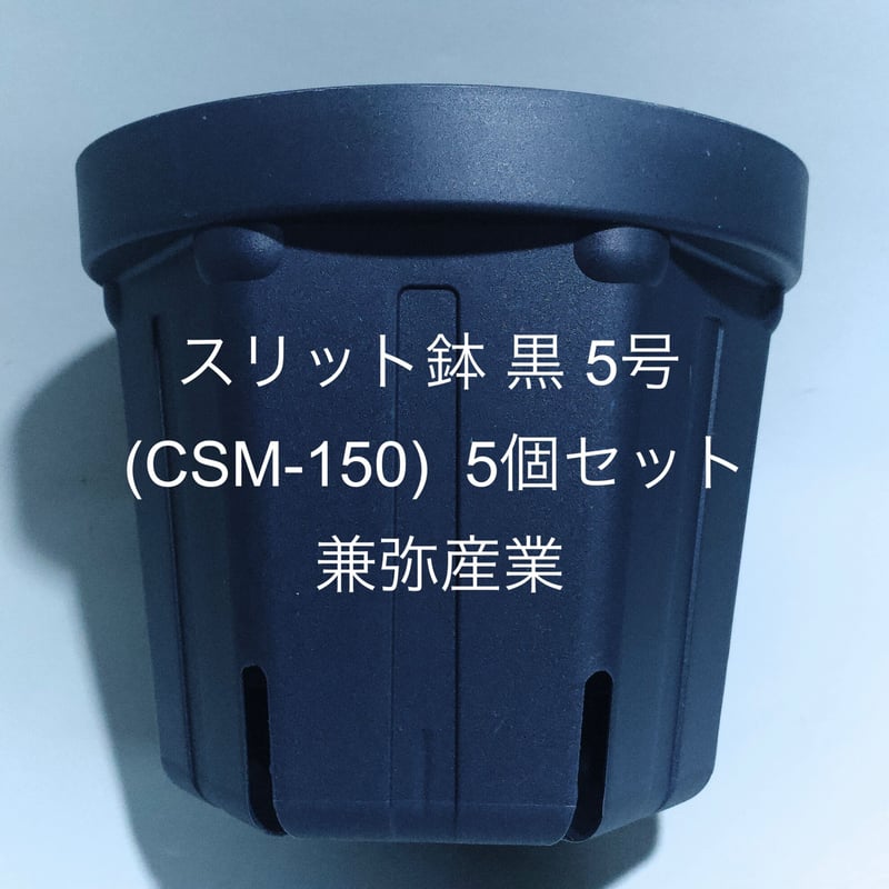 スリット鉢 黒 5号 (CSM-150) 5個セット 兼弥産業【単体購入の場合は 