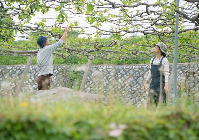 glasses farm / 祢津商店