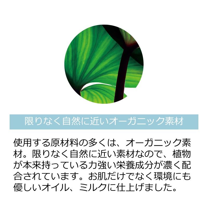 para spa ハンド＆ボディミルク(G&I) 50ml | vip-miminail