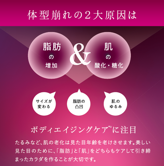 AG SHAPE Professional 30袋入り AGシェイプ バーニング 30本入り