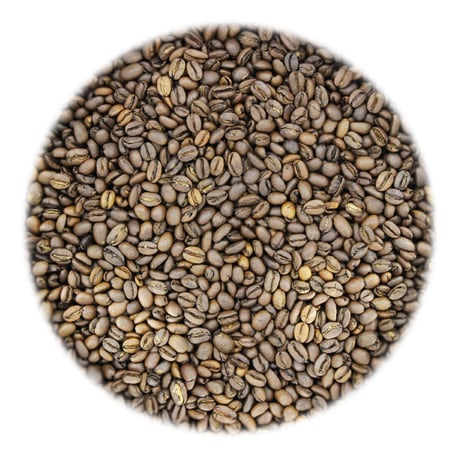 モカ 500g