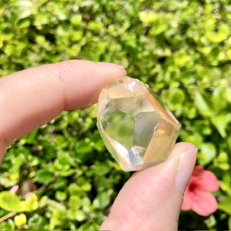 ゴールデンレムリアンシード希少カラー∞太陽のレムリアン ゴールデンレムリアンシード希少カラー∞太陽のレムリアン