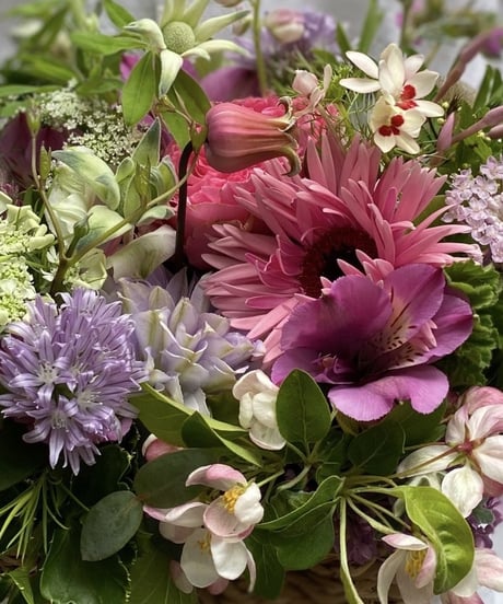 Chesty Noritake フラワーバードボウル 2個 金彩 アンバーガラス 小鉢 サラダボウル 12角 ひまわり 2個 3個 各種