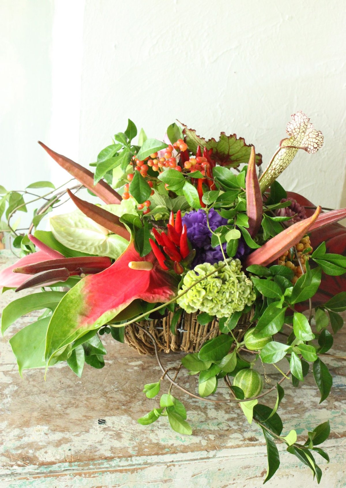 fit=scale-down,w=1200